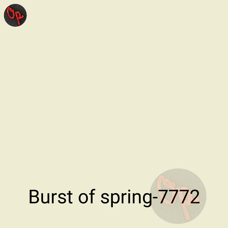 Asian Paints Royale Shyne Interior Emulsion 7772 Price