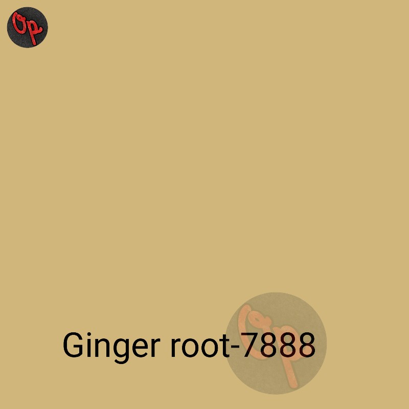 Asian Paints Apcolite Premium Interior Emulsion 7888 Price